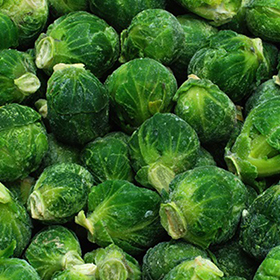Cabbage Brussels