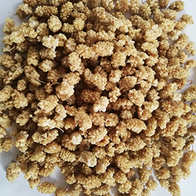 Dry Mulberry